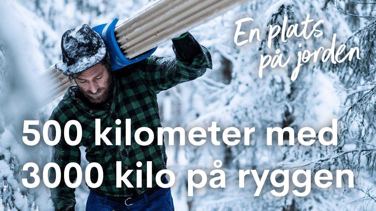 Markus Torgeby bygger off-grid-stuga: Släpar 3000 kilo byggmaterial genom skogen
