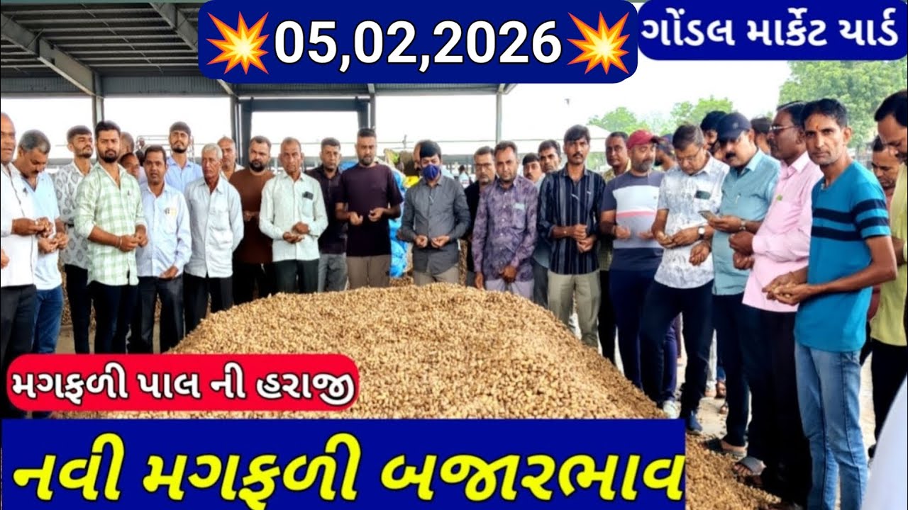 નવી મગફળીના બજાર ભાવ / મગફળી ના બજાર ભાવ / ગોંડલ મગફળી ના બજાર ભાવ / 5,2,2026