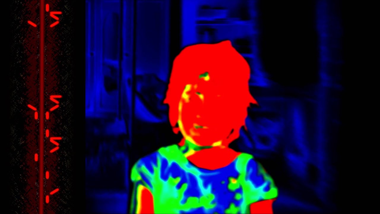 Predator Vision