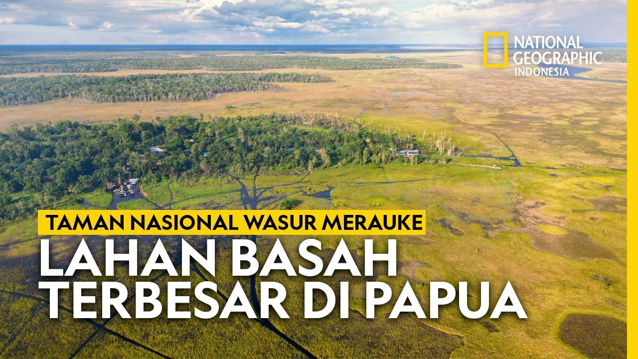 TAMAN NASIONAL WASUR MERAUKE - NATIONAL GEOGRAPHIC INDONESIA