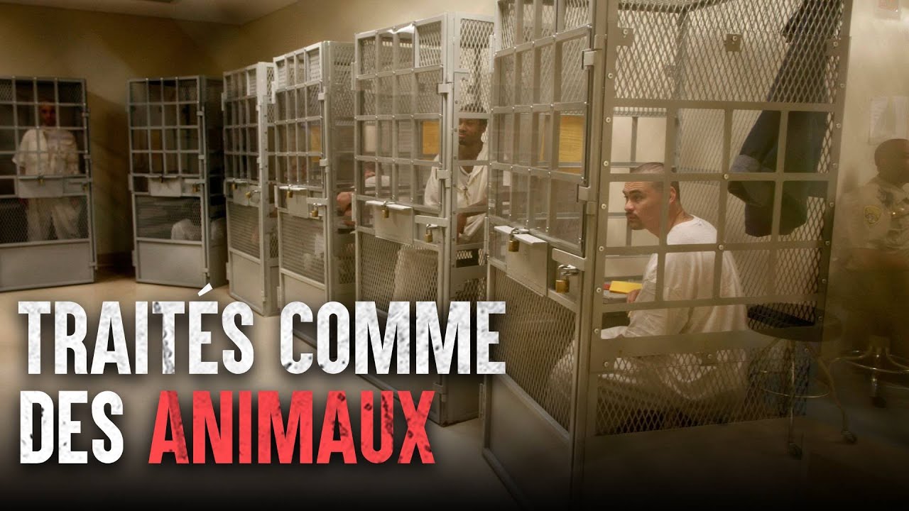 Survivre à la prison la plus stricte d'Amérique : San Quentin