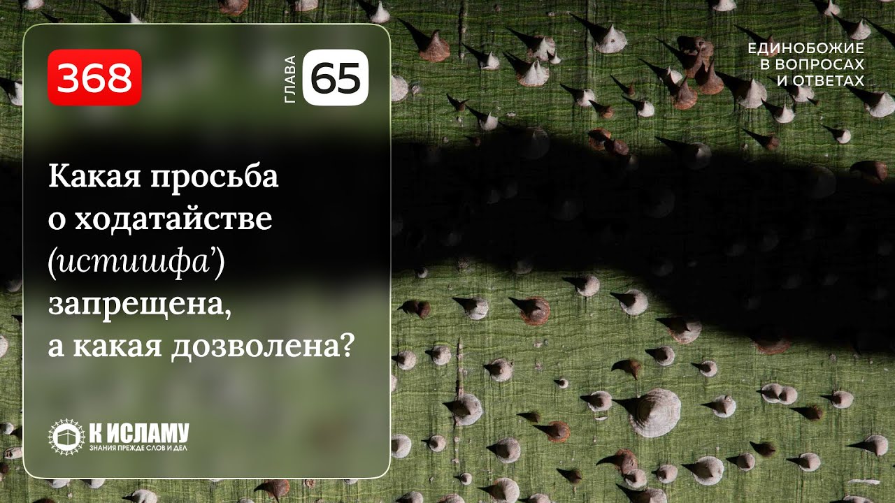 368. Глава 65. Какая просьба о ходатайстве (истишфа’) запрещена, а какая дозволена?