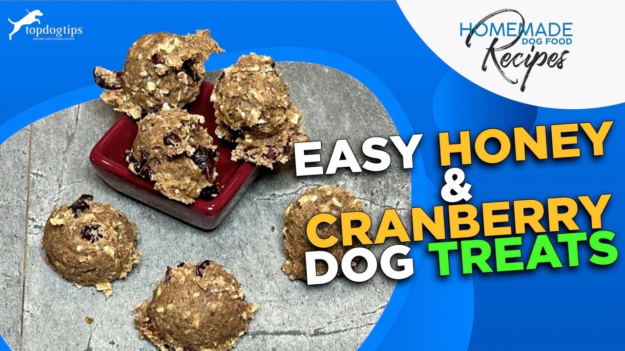 Recipe: Easy Honey & Cranberry Dog Treats