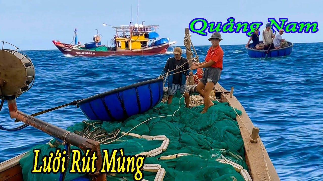 Hấp Dẫn Lưới Rút Mùng Quảng Nam Vây Cá Cơm Ào Ạc Trong Đêm.