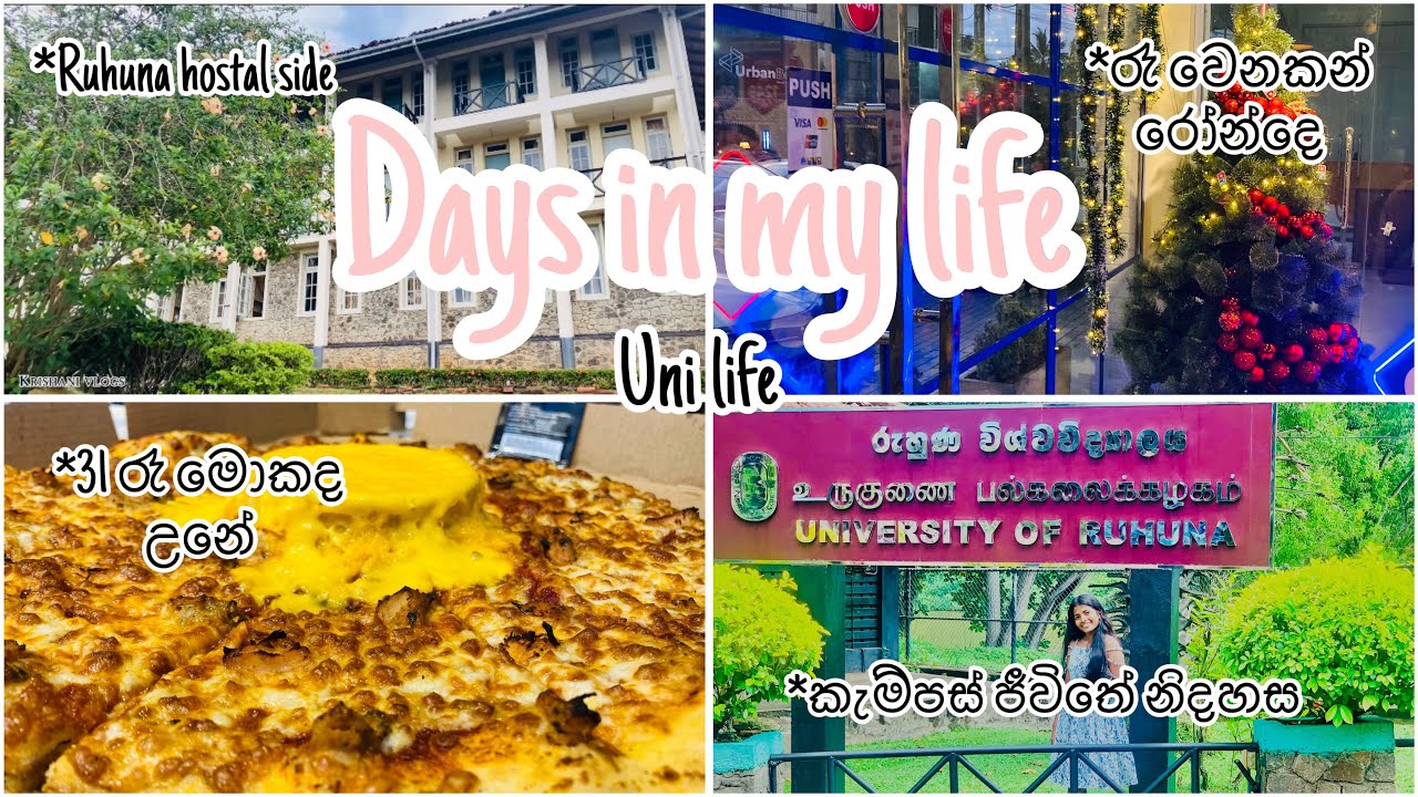 බෝඩිමේදි අවුරුද්ද පිලිගත්ත හැටි🥰🍄31 රෑ😫| #Unilife🦋#universityofruhuna #newyear #31st_night