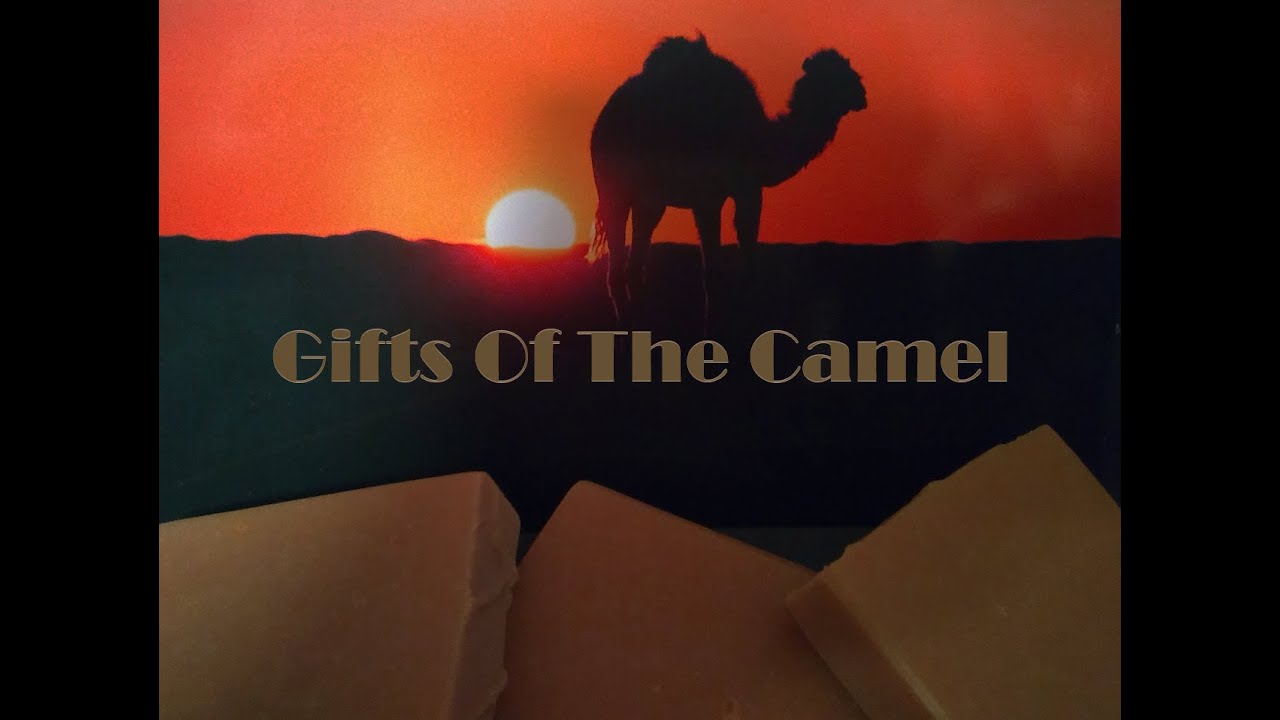 Making Gifts Of The Camel Milk Soap & Health Chat