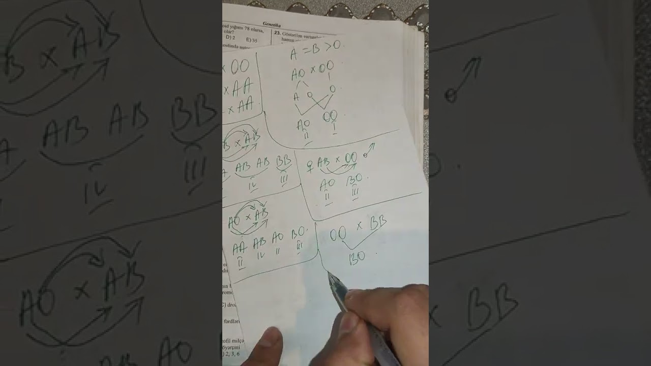 DİM cinsiyyətin genetikası. test həlli. MİQ və Sertifikasiya hazırlığı. Əlaqə: 055-634-73-41