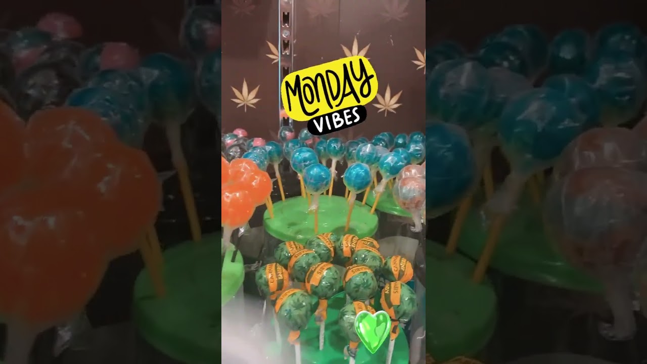 Cannabis HHC Store Amsterdam Madrid