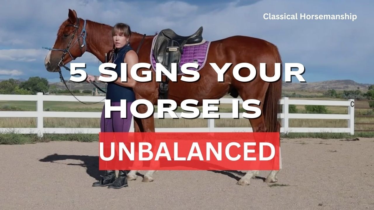 5 Clear Signs Your Horse Is Unbalanced