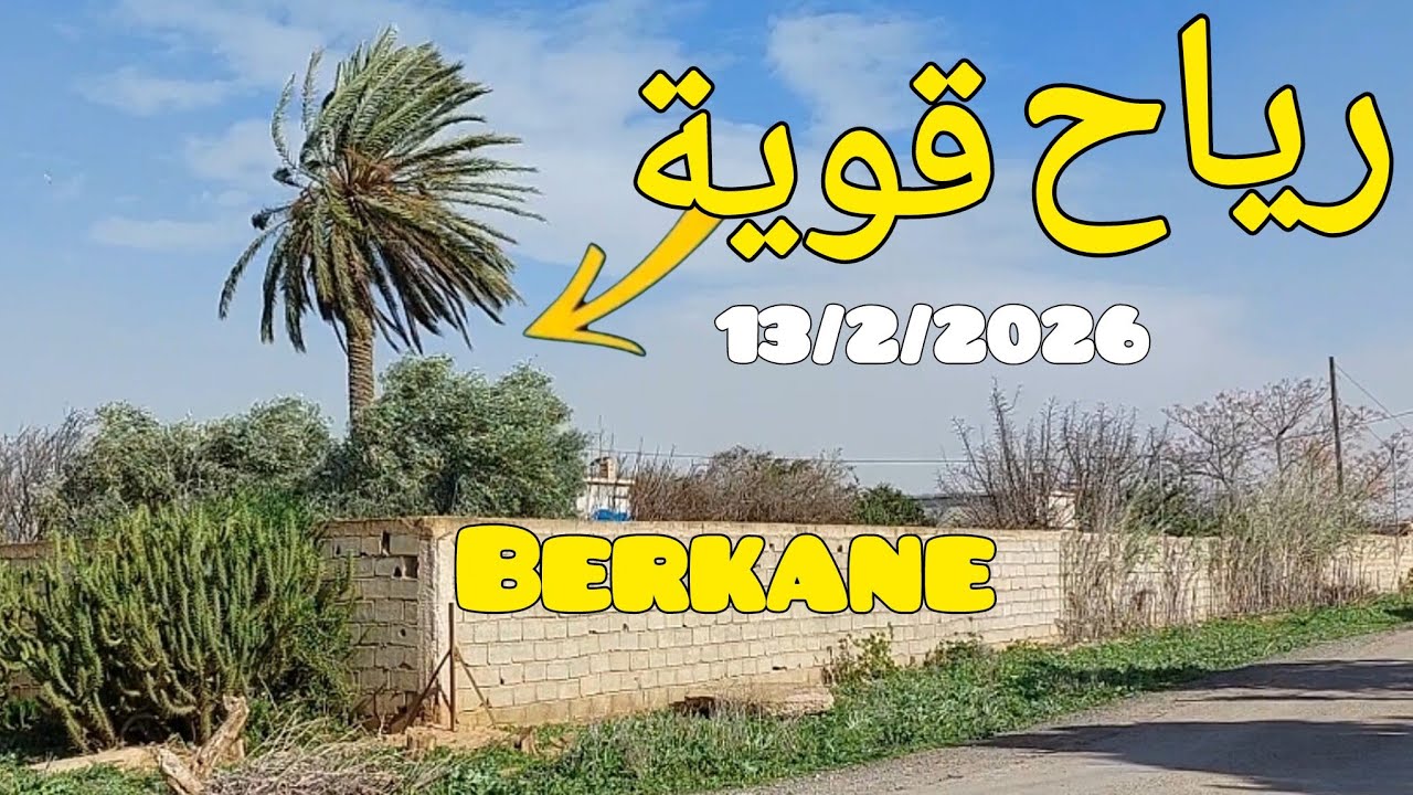 رياح قوية بإقليم بركان.
