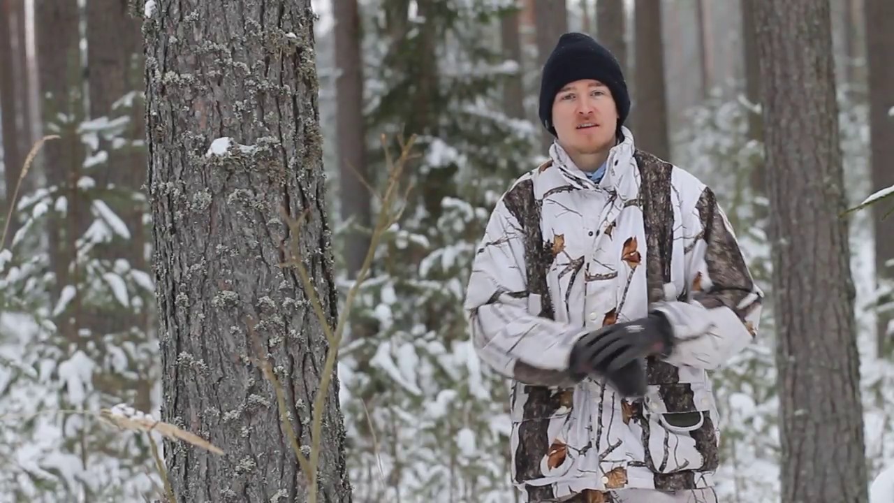 Metsakasvatuse ABC (Püsimetsa majandamine männikus)