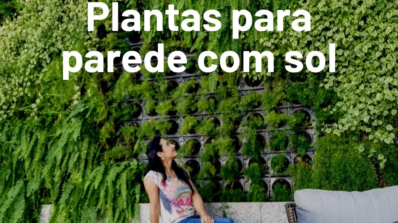 Plantas para Parede com Sol. Jardim Vertical
