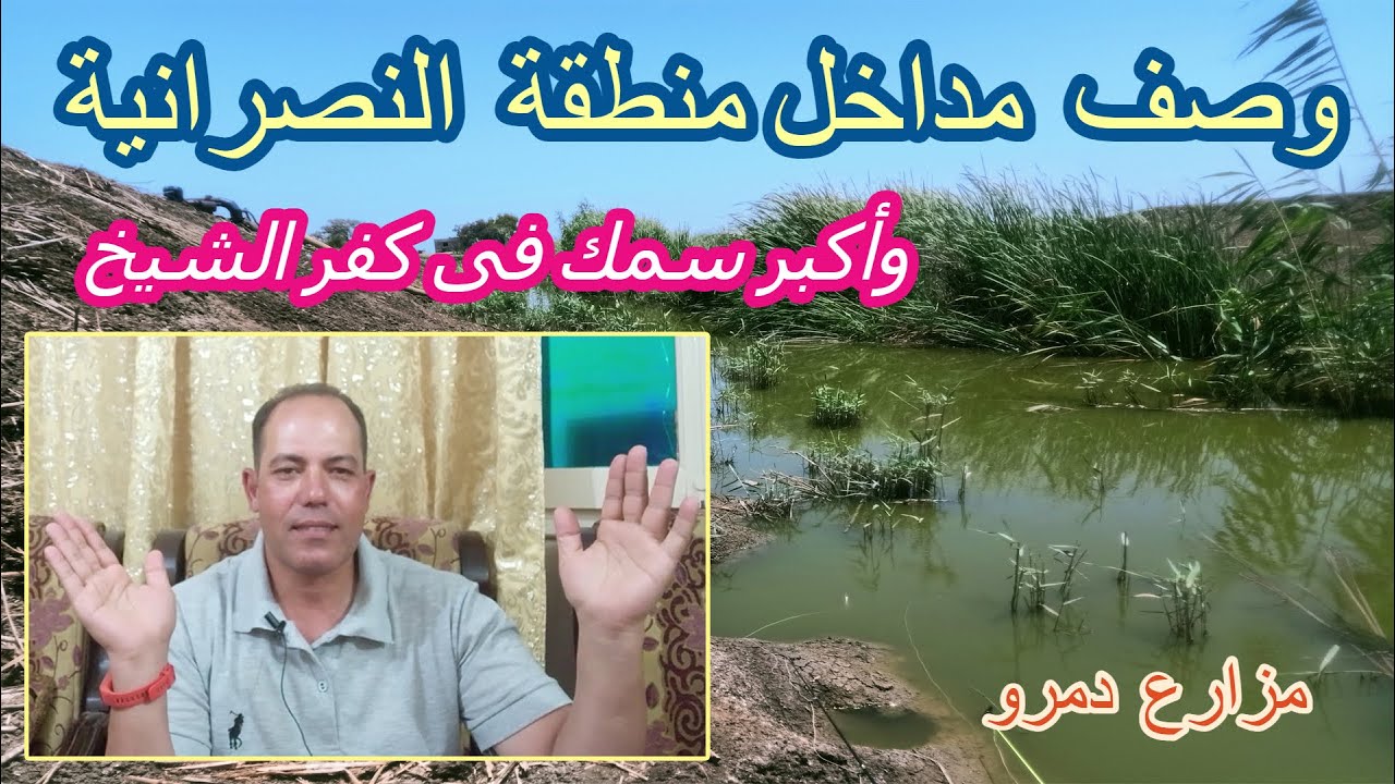 مداخل منطقة النصرانية وأكبر سمك فى كفر الشيخ