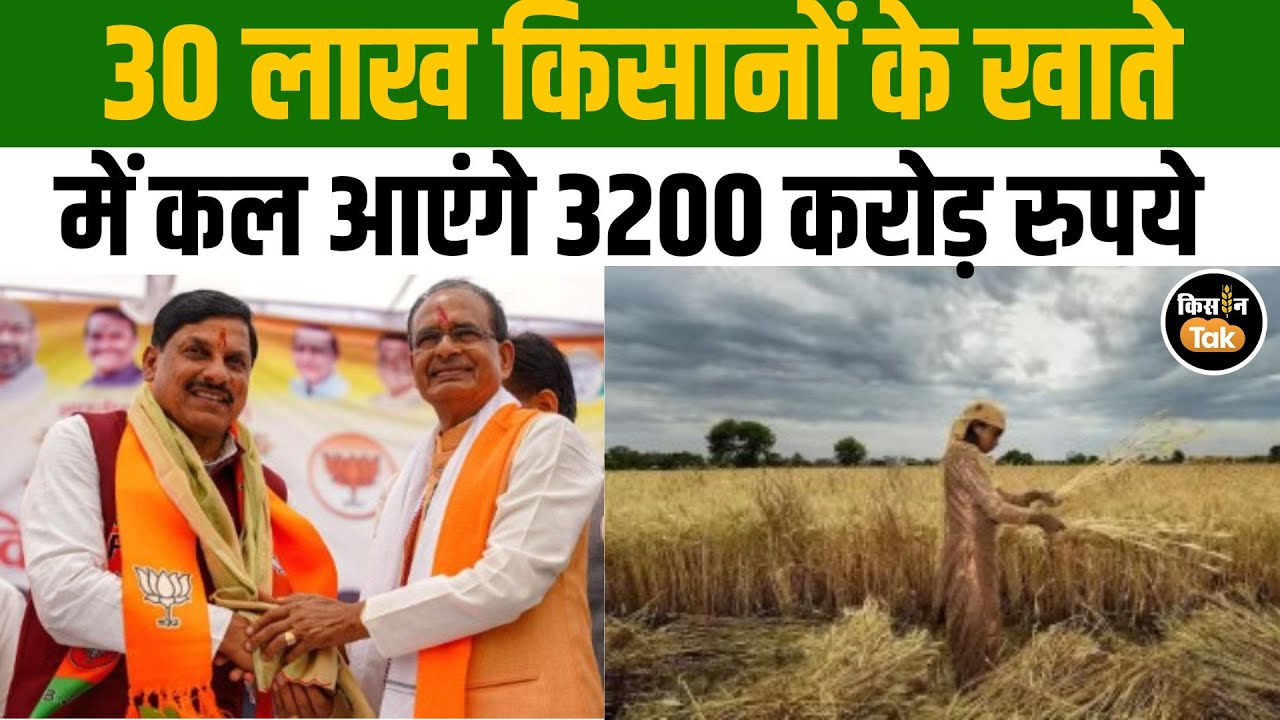 Shivraj Singh Chouhan ने फसल बीमा पर किया बड़ा ऐलान,  देखें Raisen में क्या कहा  | Kisan Tak
