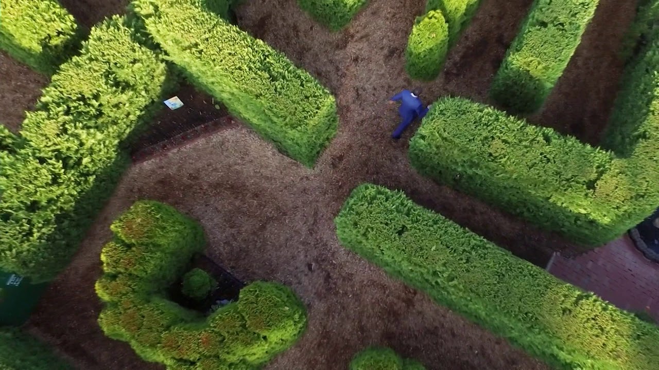 QMB Maze Promo