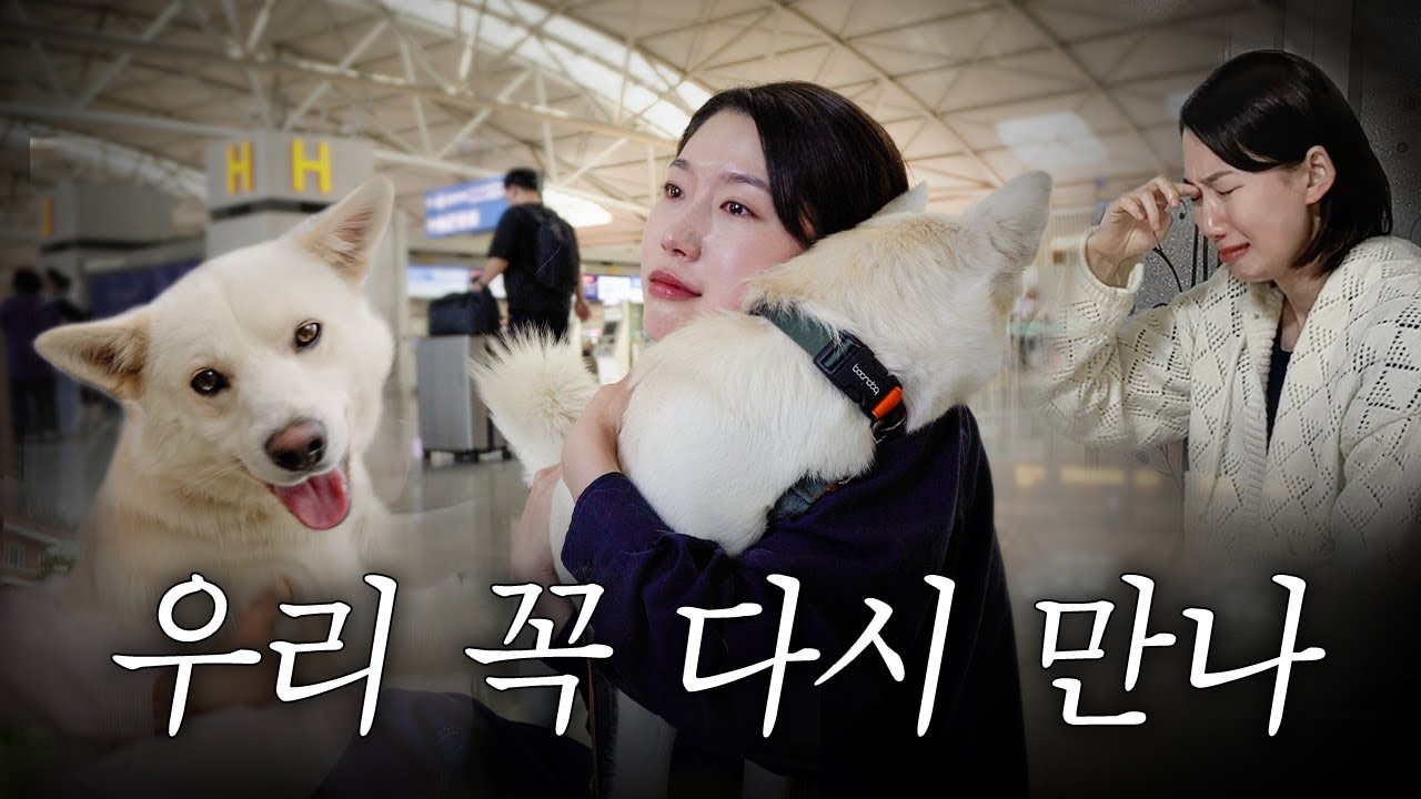 럭키가 농장을 떠나는 날