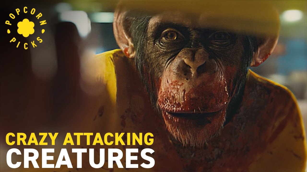 Crazy Creature Attacks