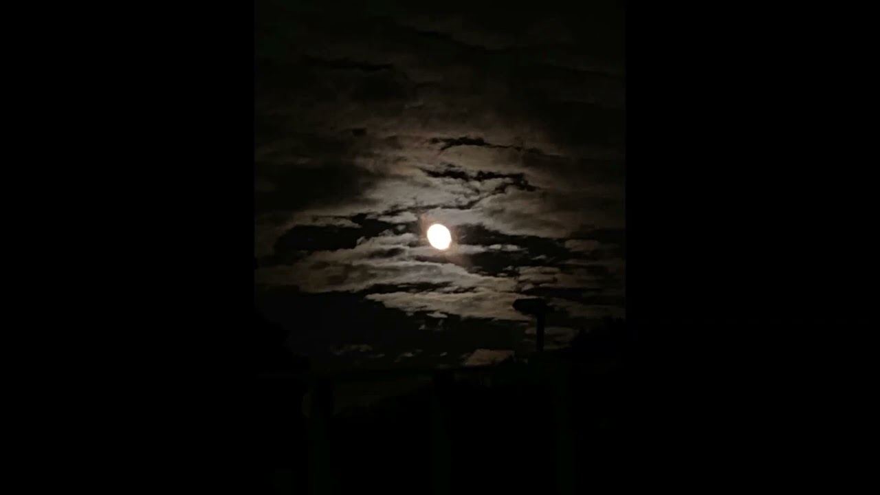 m∞nl!ght  (prod.demo)