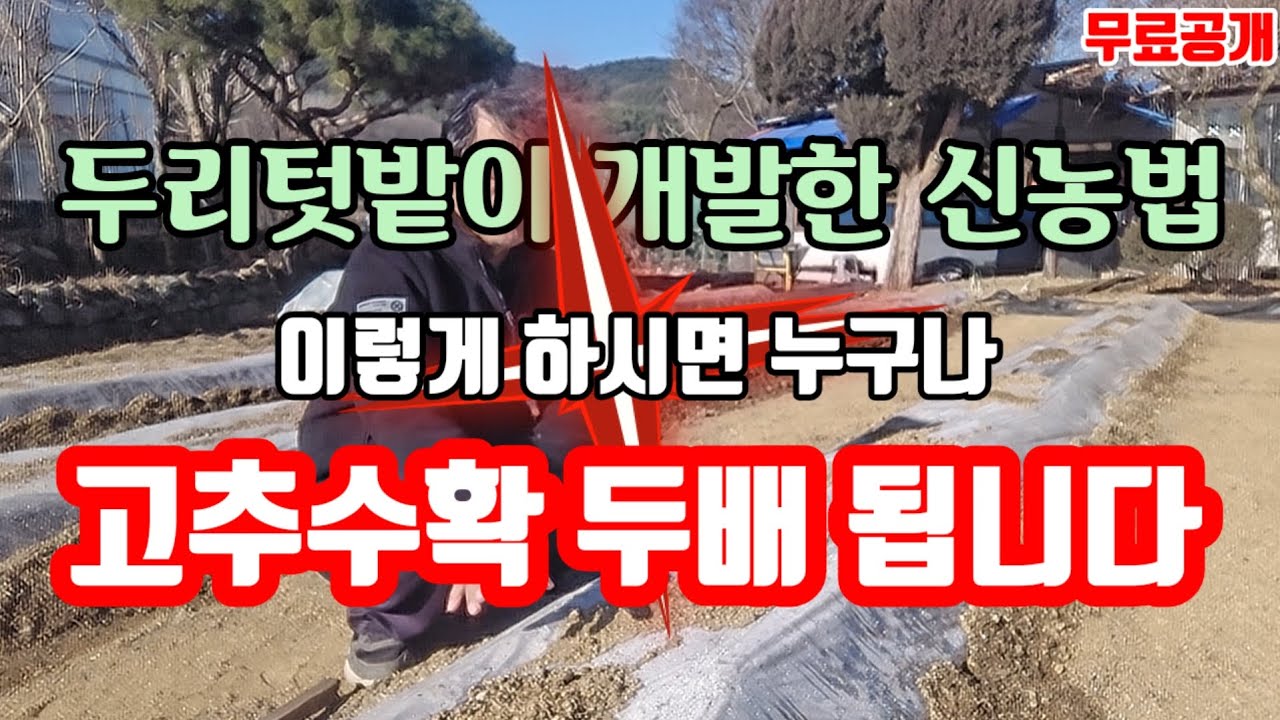 2026년 고추재배방법을 혁신적으로 바꿔놓을 두리텃밭의 신농법을 공개합니다.