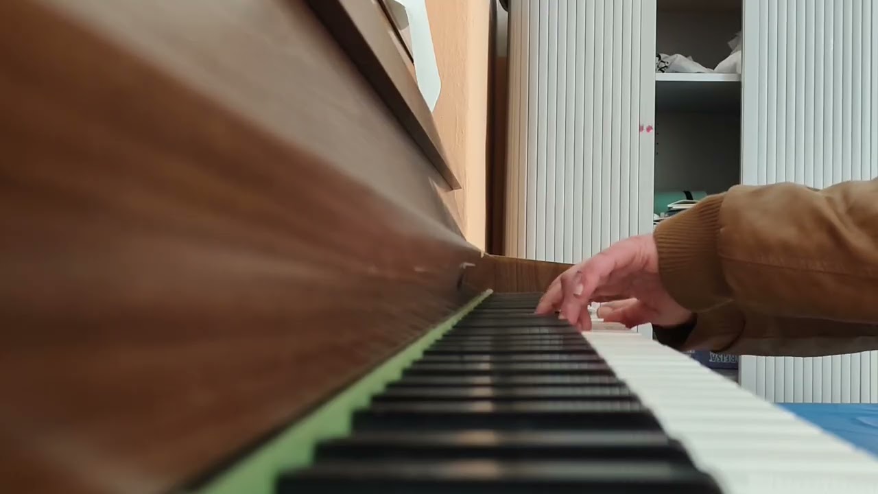 L'elefante e la farfalla 🦋 - Michele Zarrillo - Scuola Bugiani di Follonica - 17 febbraio 2026 