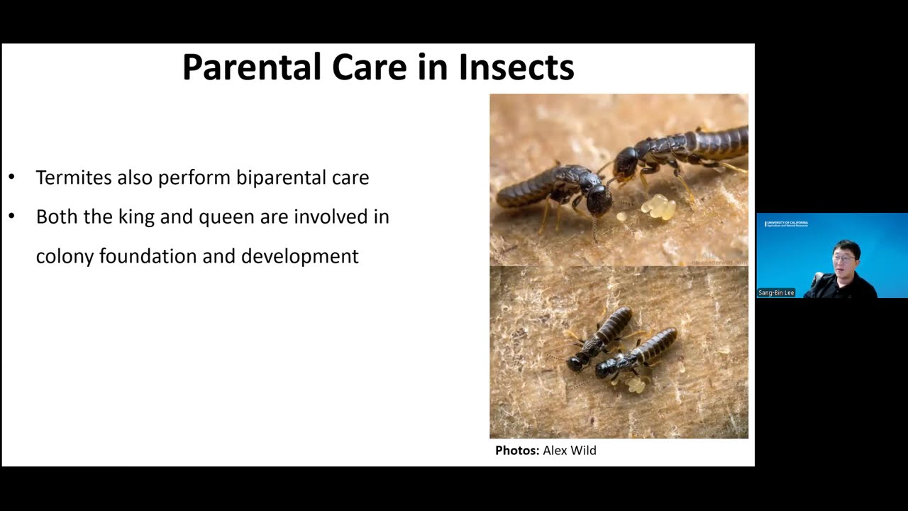 The Beauty of Living Together: Social Insects (4/10/2025)