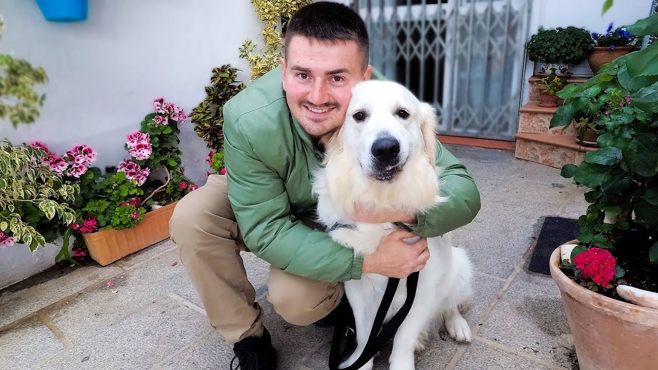 First Little Trip with My Funny Golden Retriever and His Reactions to New Places (Spain)