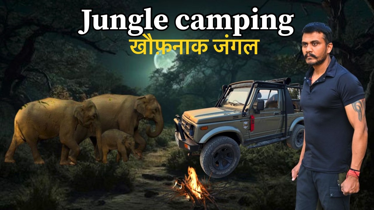 Jungle camping  | khatarnak jungle | Elephant Encounter