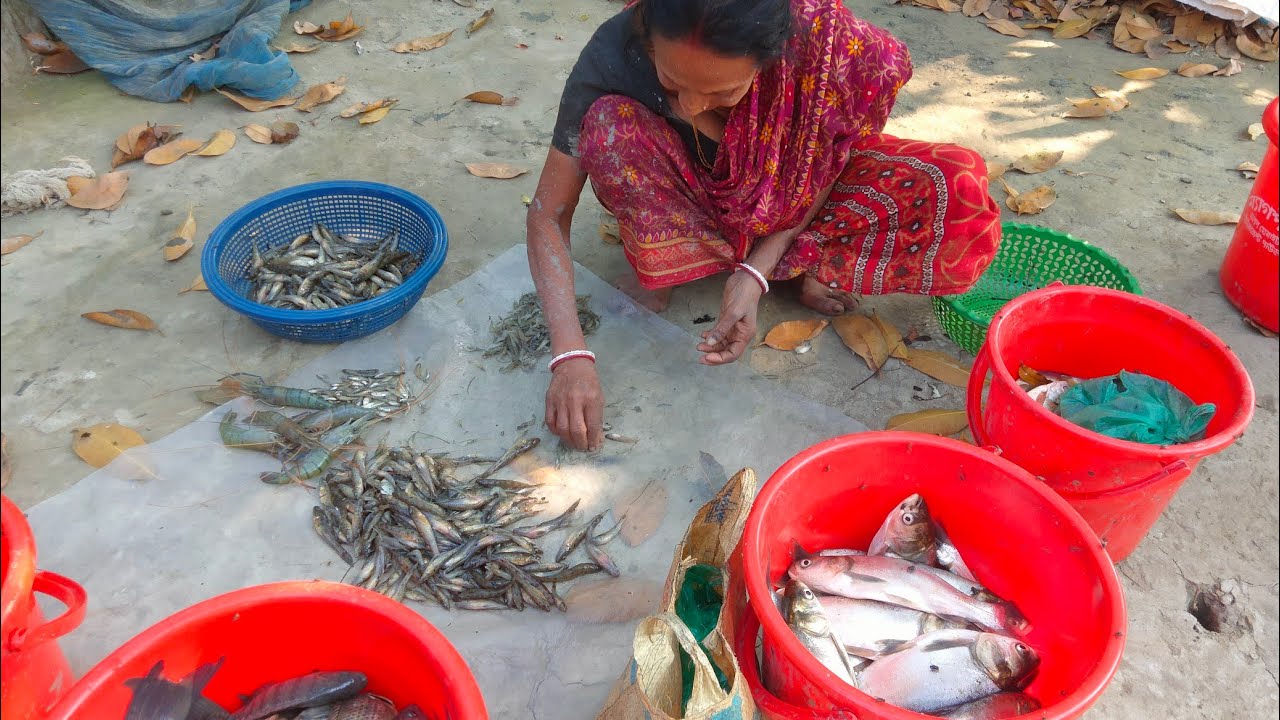 This is Village Life 🐟🥰 #village #villagelife #fishing #live #viral 