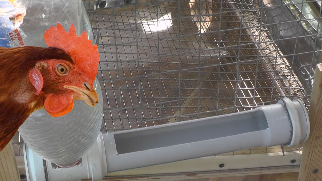 Клетка для кур-несушек: поилка из трубы