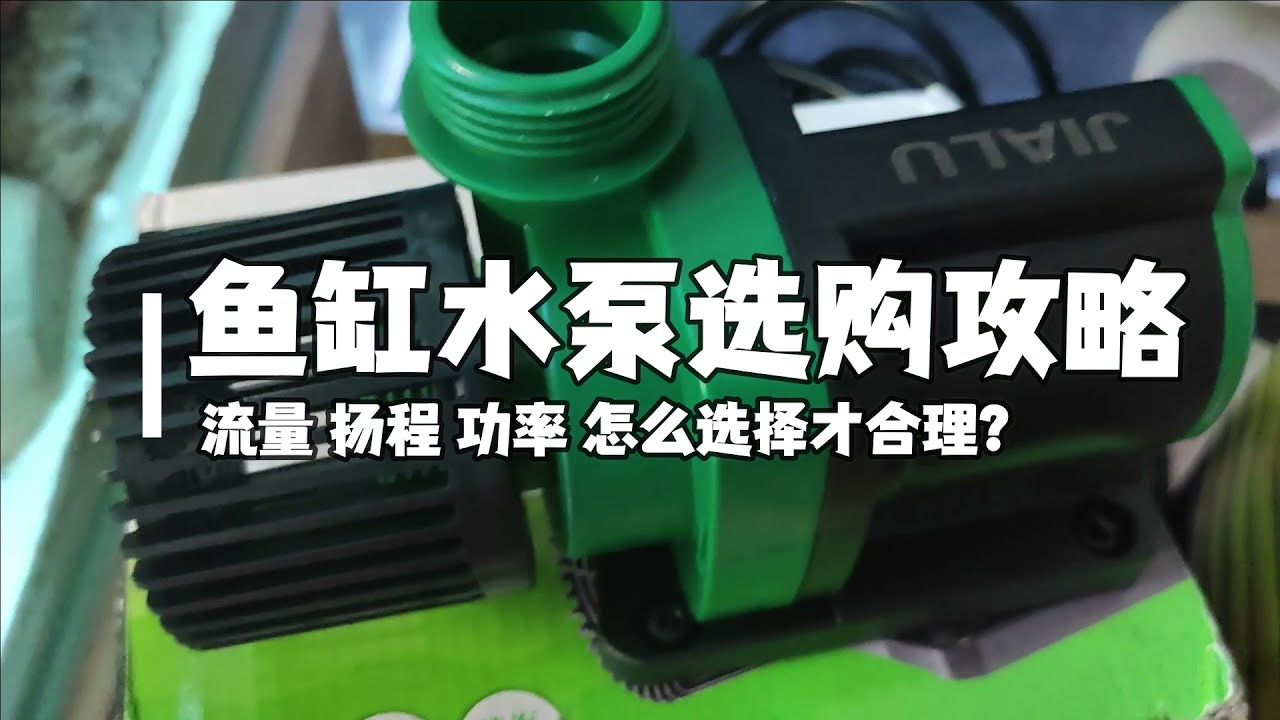 新手輕鬆養金魚-水泵的3個重要參考指標，怎麼看，怎麼選，如何賣