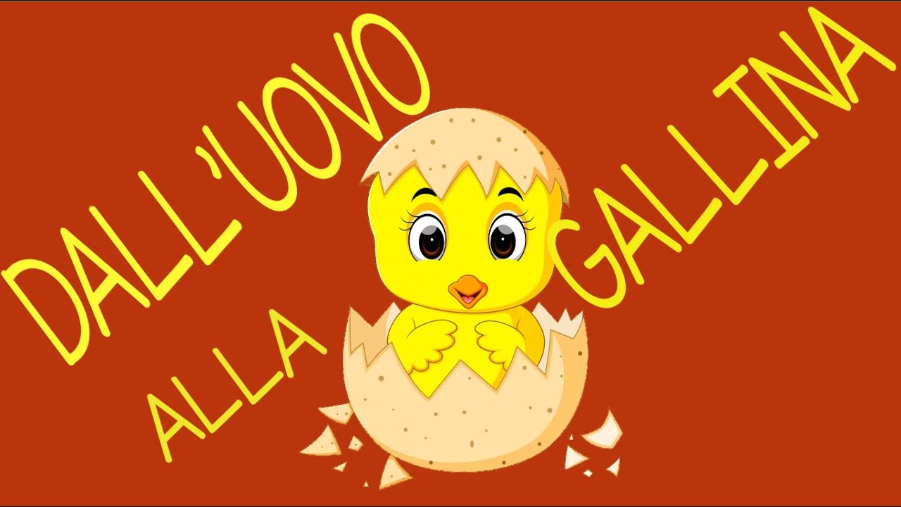 DALL'UOVO ALLA GALLINA-speciale primavera- con LINK E SCHEDE DA SCARICARE con testo in descrizione-