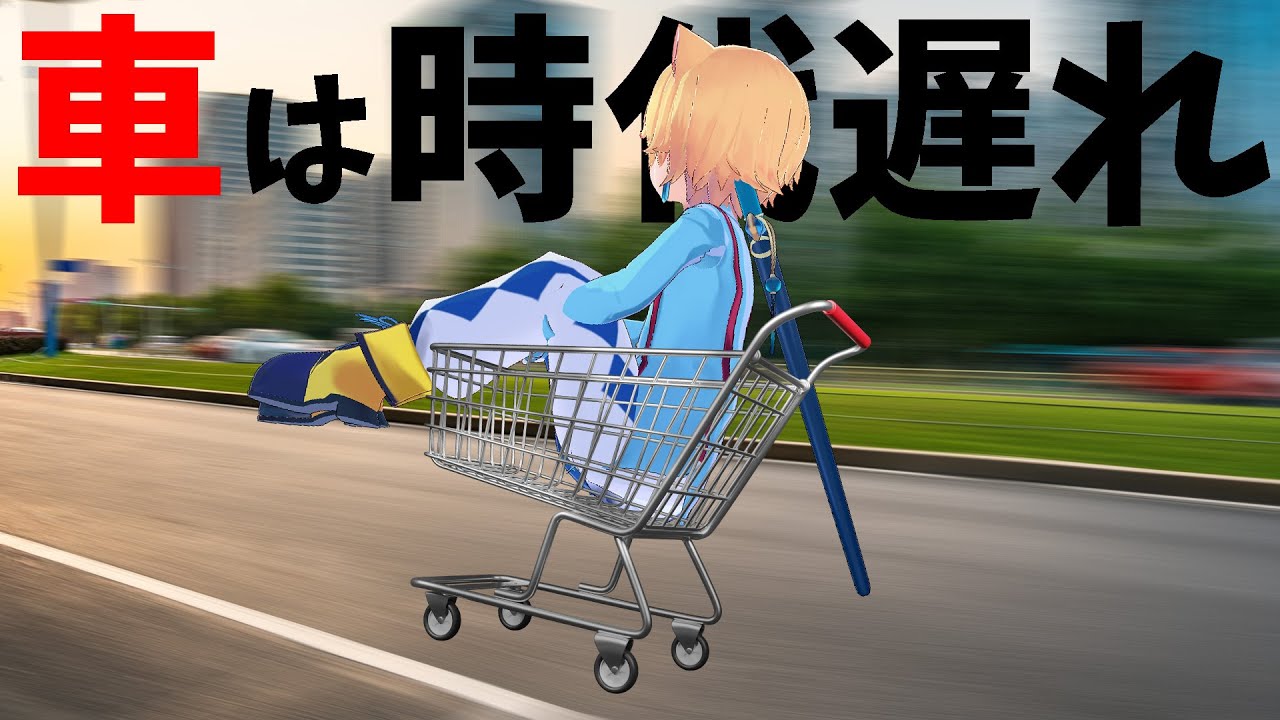 車より速い最先端のショッピングカートでスーパーに行った結果