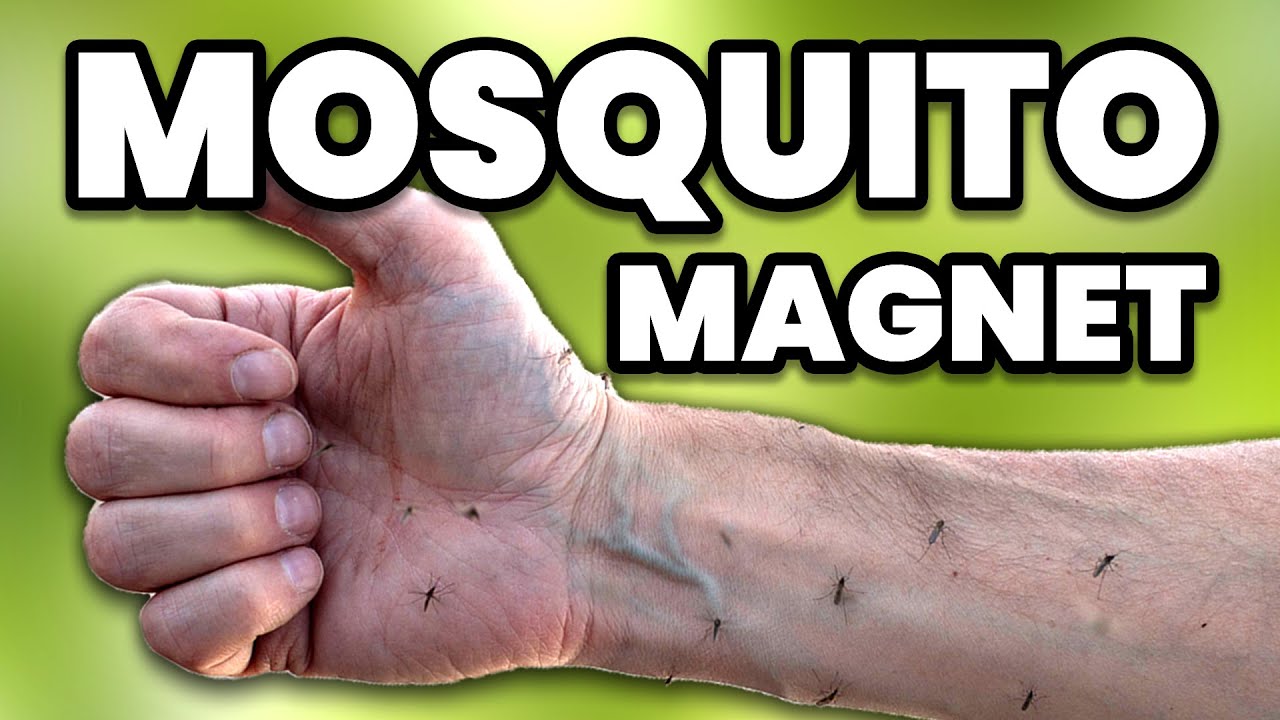 Why Mosquitoes Skip Some People