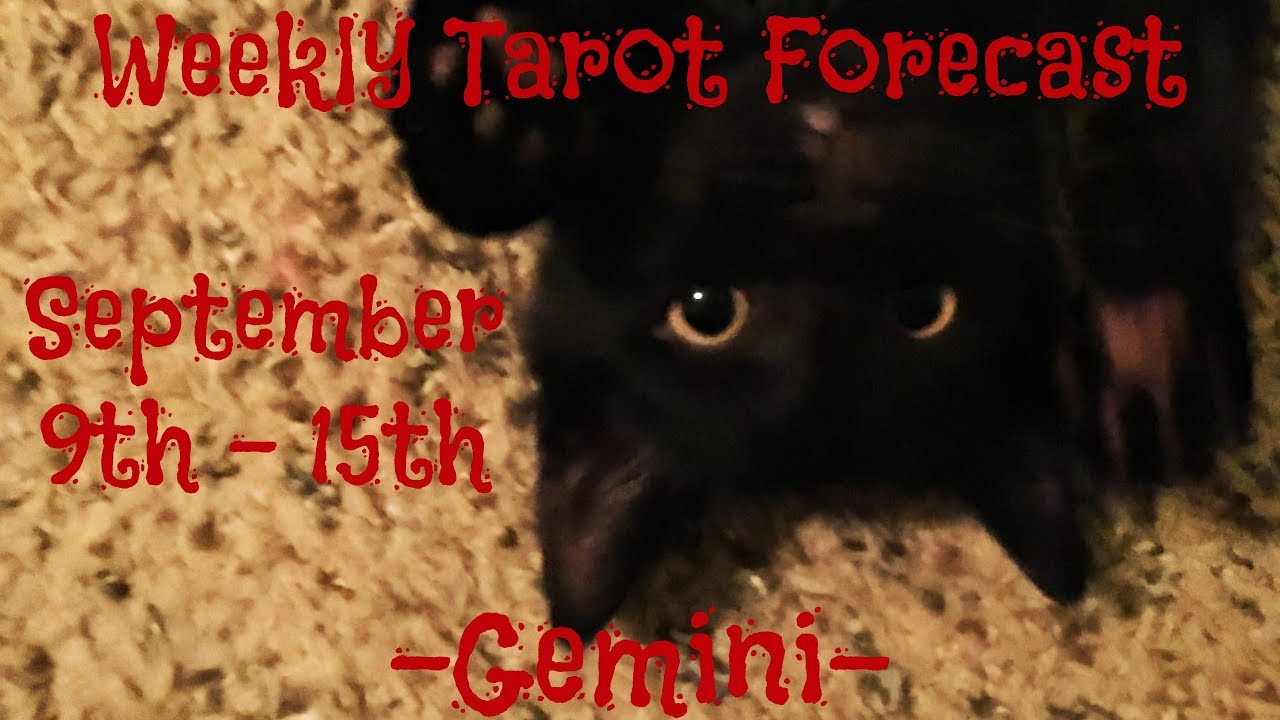 Gemini ~ You have reasons to celebrate! ~ Weekly Tarotscope Sept 9th - 15th