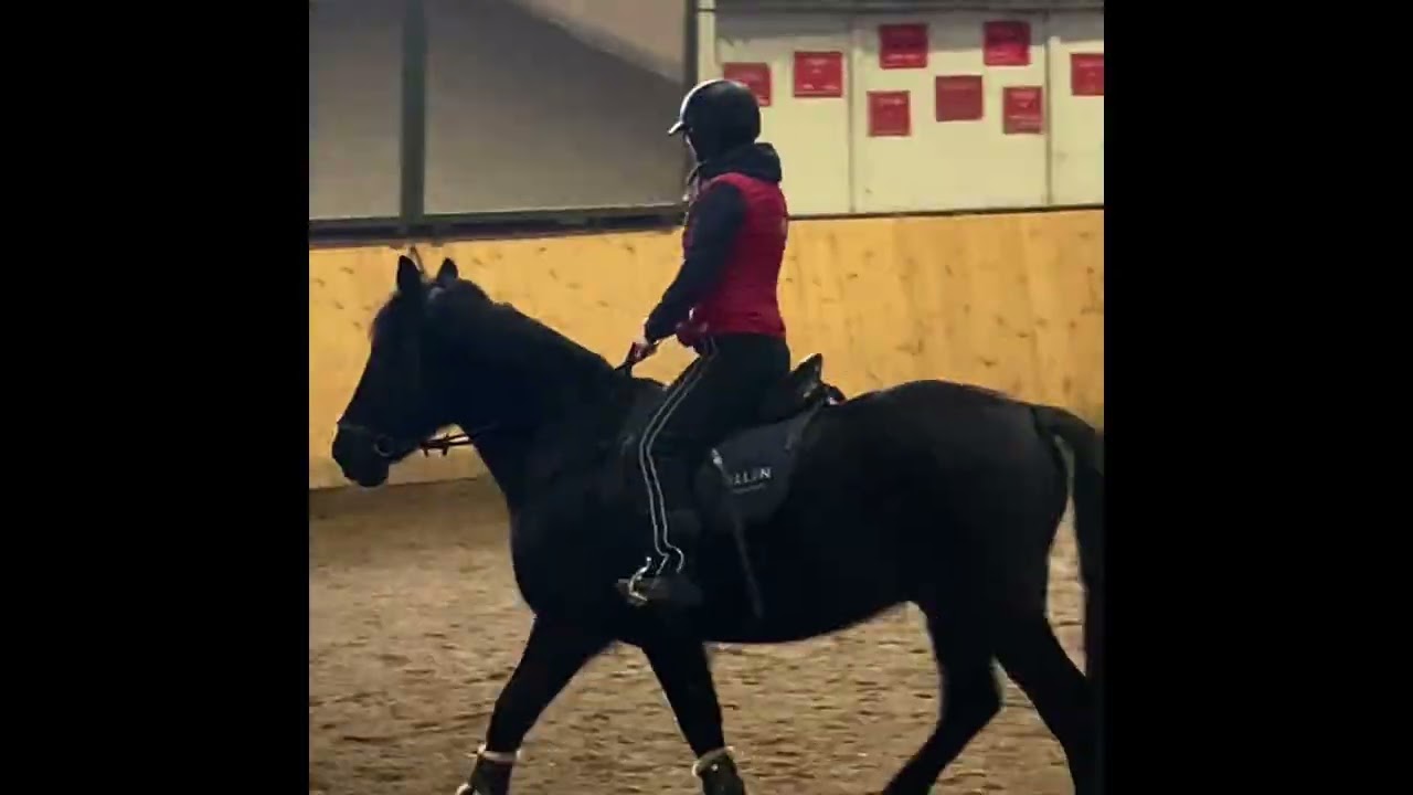 Världens bästa Zach ❤️❤️❤️❤️🐴🐴❤️🐴❤️❤️🥰❤️