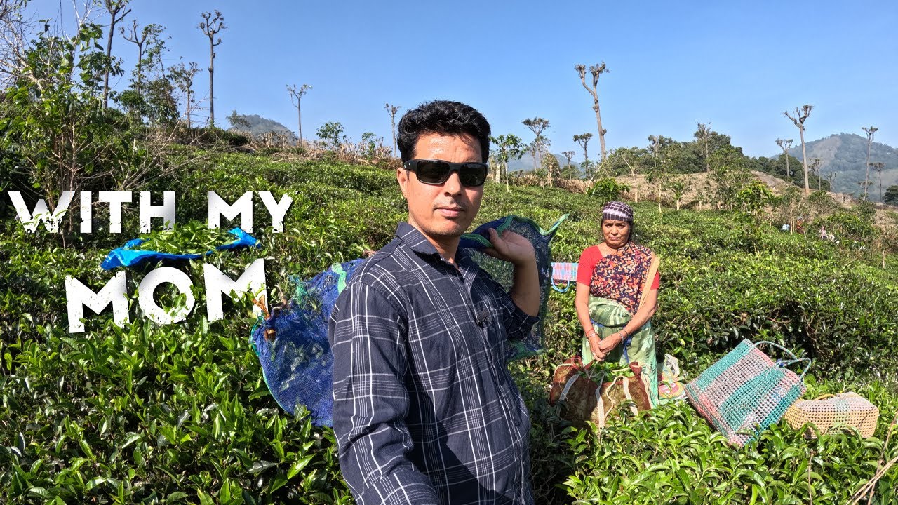 ஒரு நாள் வேலை  | A Day as a Tea Plantation Worker | Village Life in Ooty #tamil #ooty #villagelife
