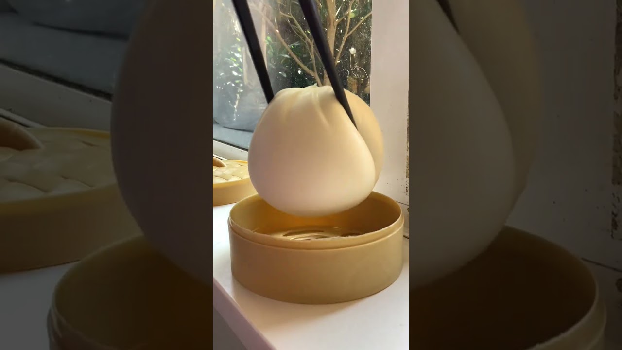 Is this $3 Squishy Dumpling Worth it?? 🥟 ~ ASMR
