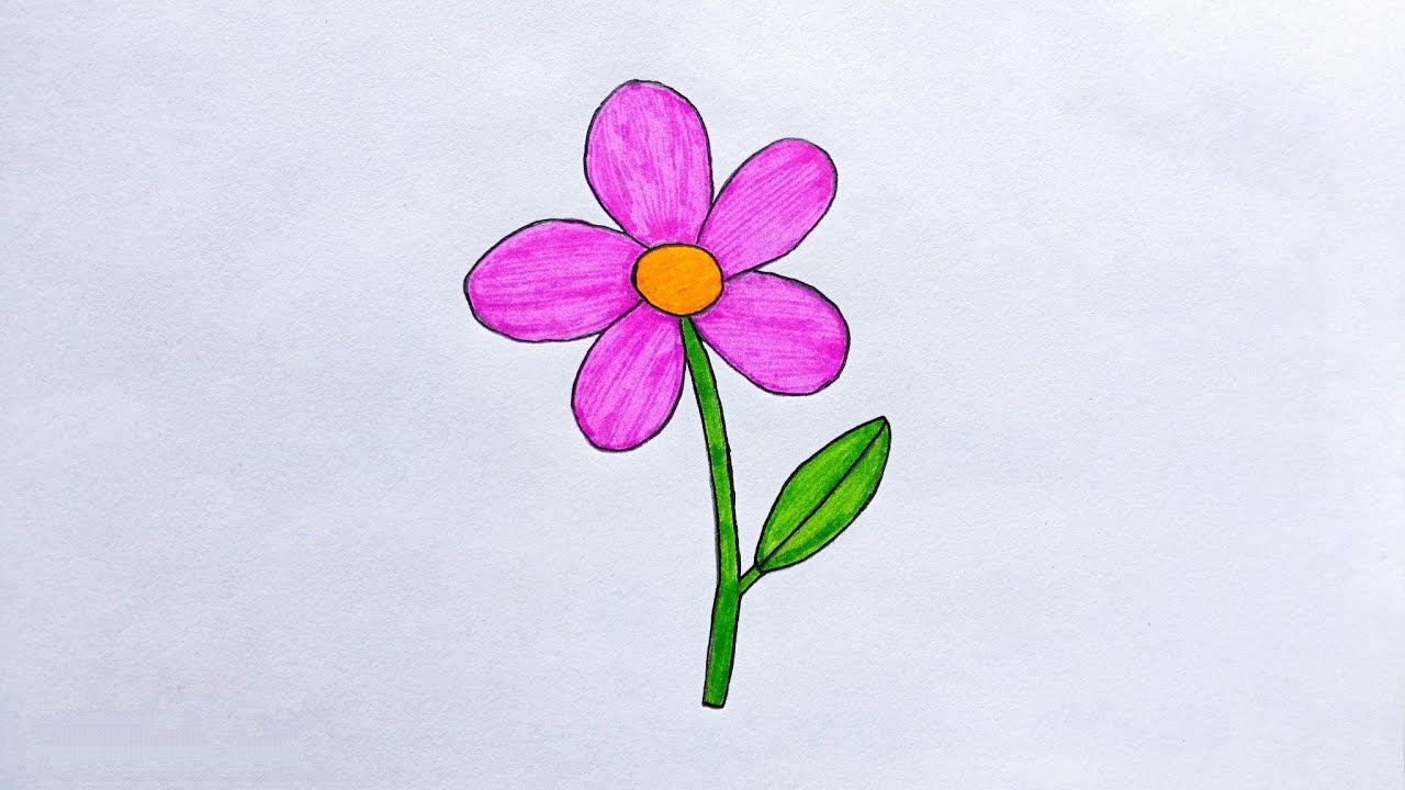 How To Draw A Flower | Easy Flower Drawing For Beginners