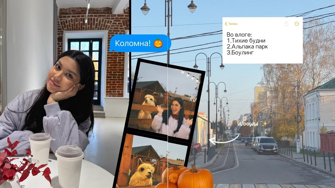 Московские будни // поехали в Коломну, альпака парк // тихие будни