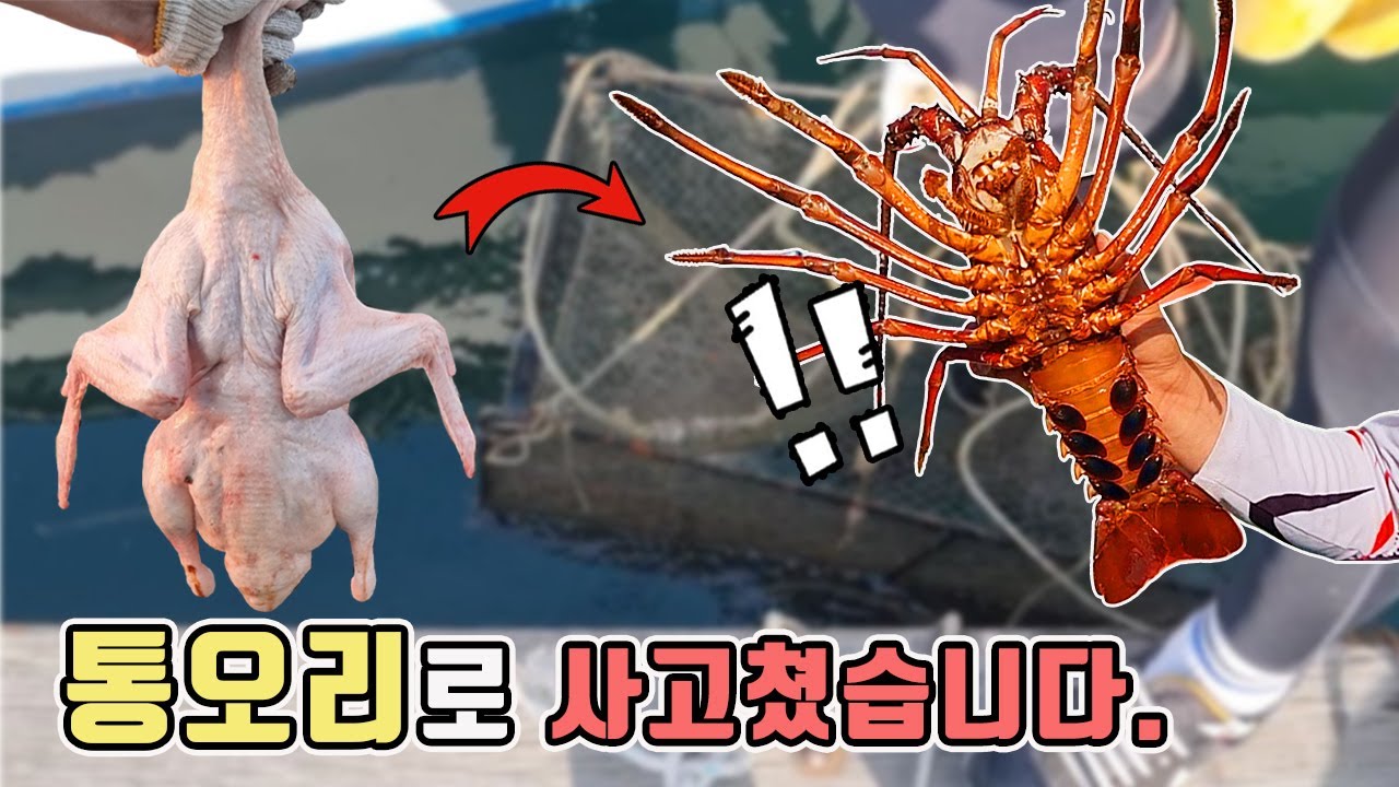 *레전드) 진짜 미쳤습니다!! 바다통발에 생오리를 넣었더니 말도안되는 녀석이...[TV생물도감]