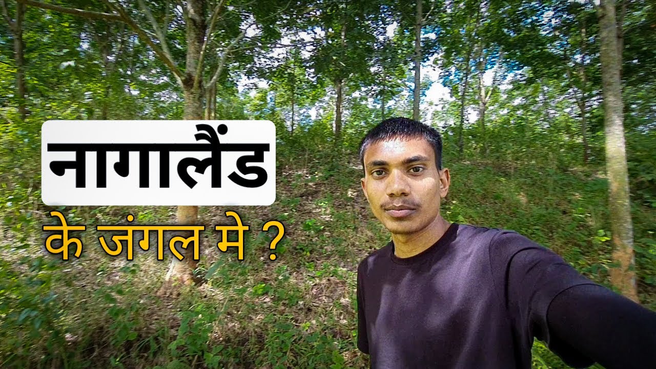 Nagaland ke jangal me Nagaland janjati shokhuvi village नागालैंड के जंगल मे nomad komal