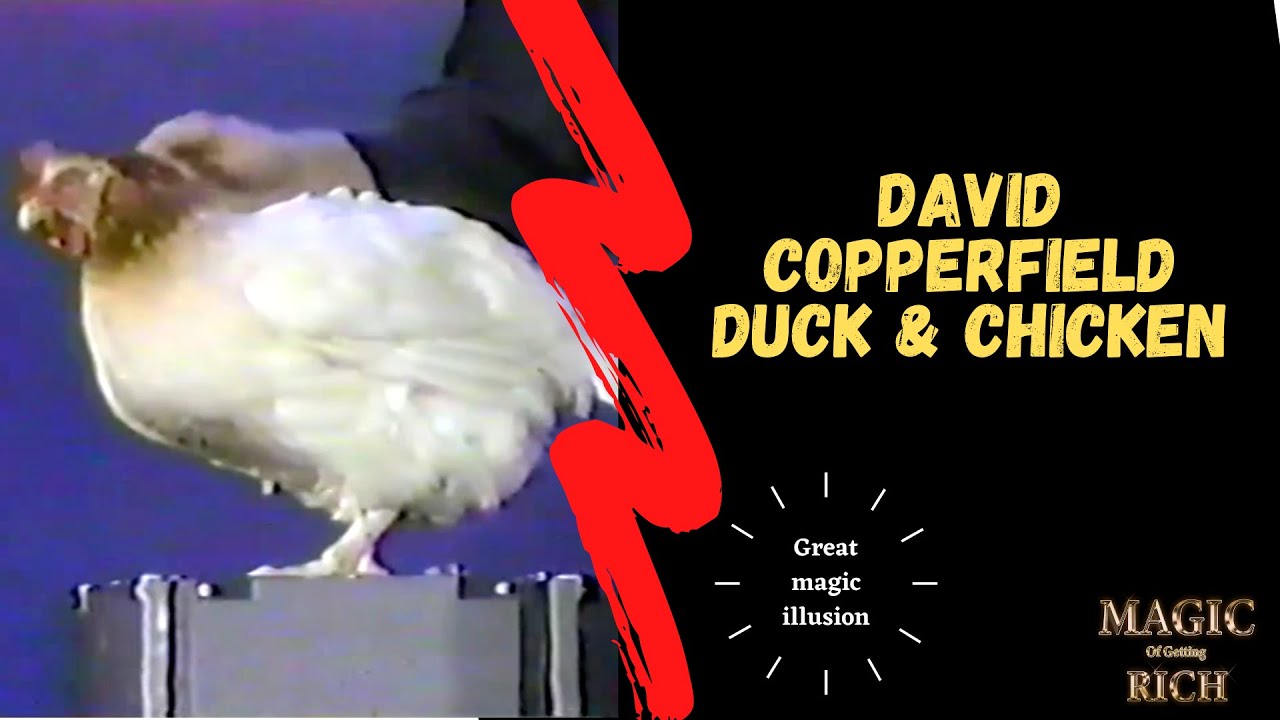 David copperfield duck and chicken