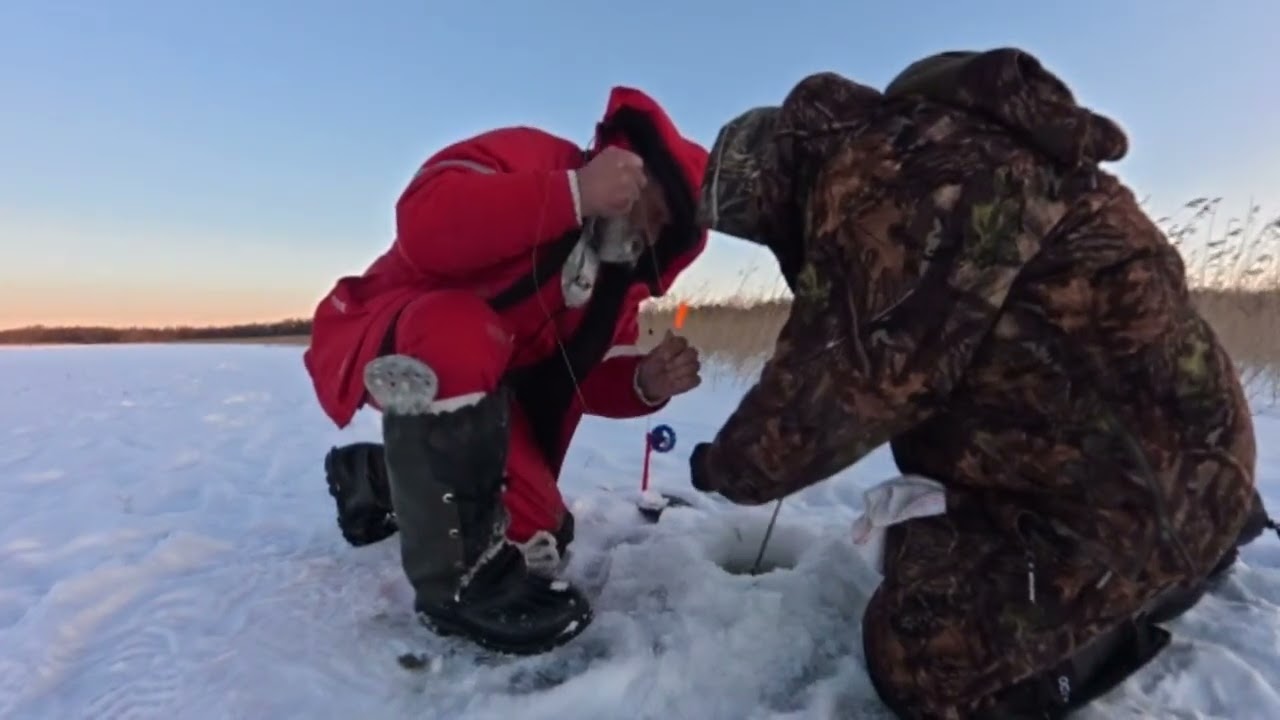 5 щук за день! Зимняя рыбалка удалась