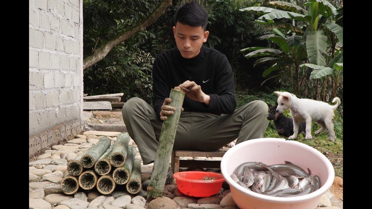 CEO Trieu Phong Leaves City for Countryside, Traps Loach traditionally, living off-grid in nature!!!