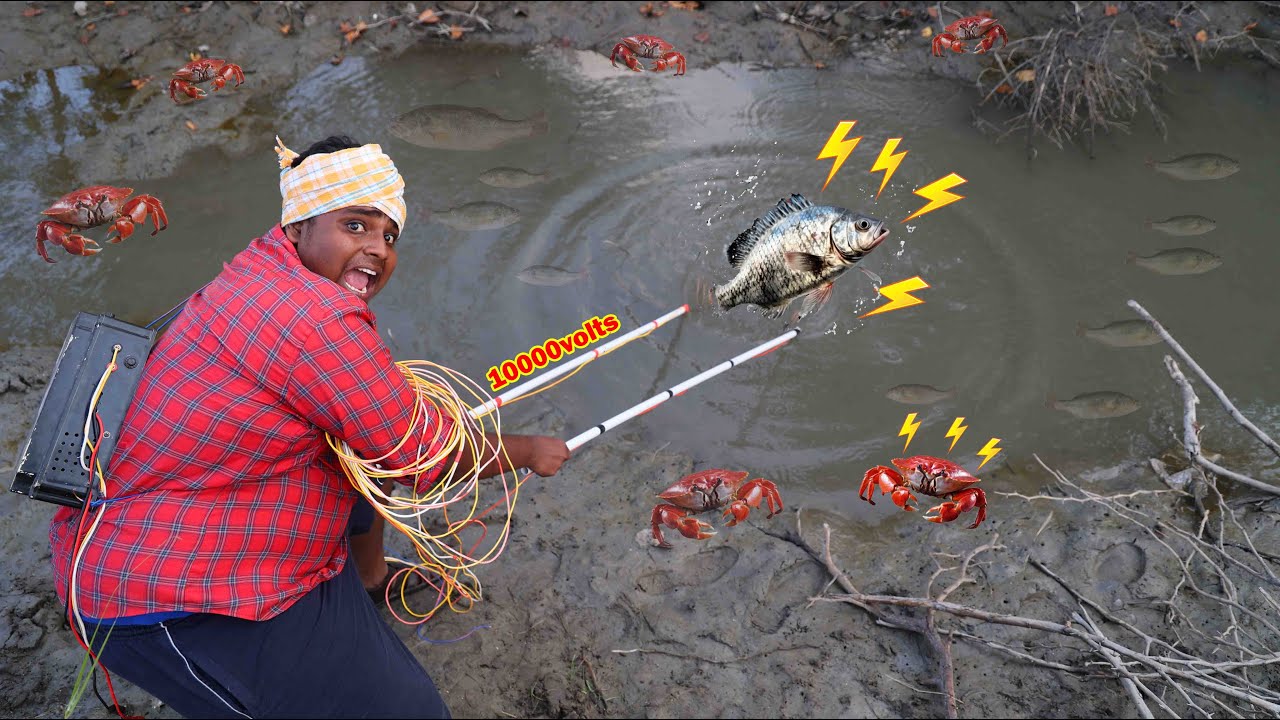Electric Fishing|கரண்ட் வச்சு மீன் பிடிக்கலாம்|இந்த மிசின் இருந்தா போதும் மீன் பிடிச்சு தள்ளிடலாம்