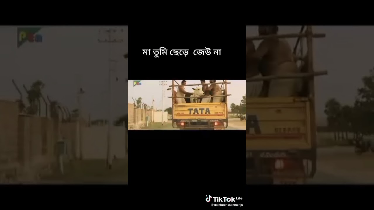 tsxbh xbgszv xbxss