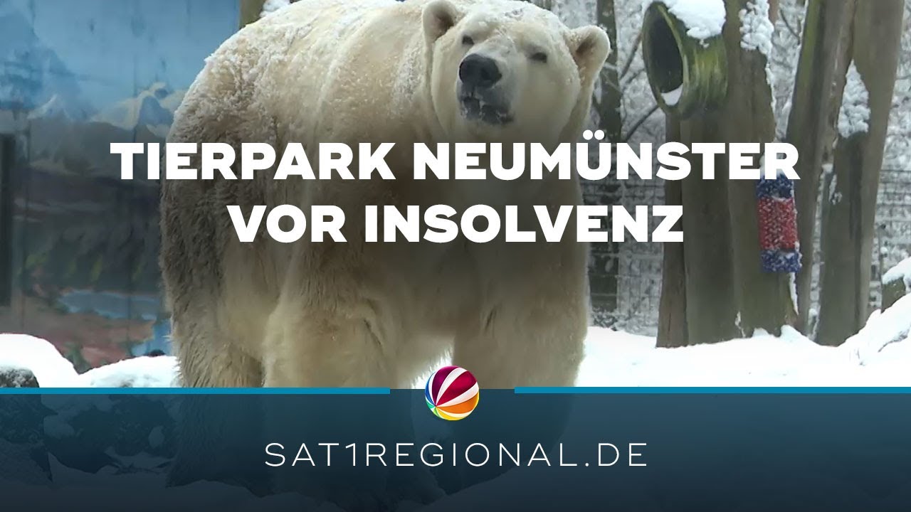 Tierpark Neumünster ist kurz vor der Insolvenz