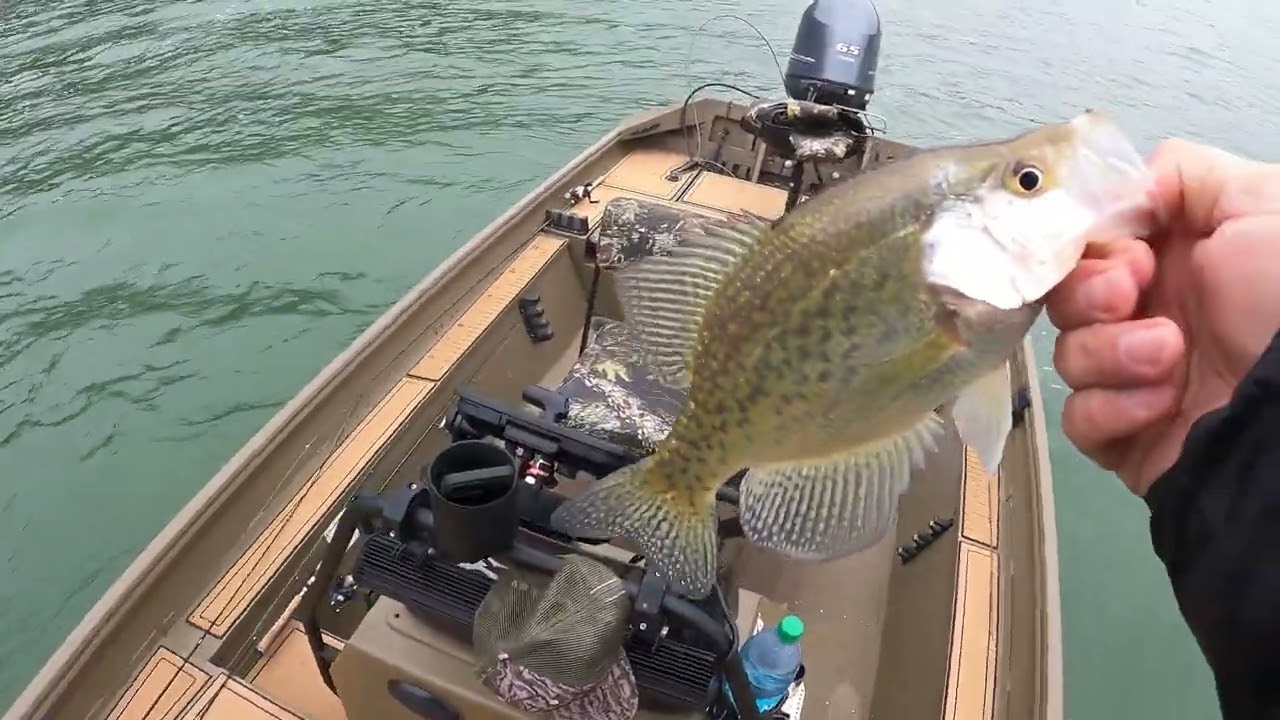 Table Rock Crappie Fishing in the Cold – Winter Slabs Await!