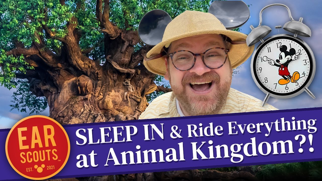 Как СПАТЬ и при этом кататься на ВСЁМ в Animal Kingdom в Walt Disney World с помощью Genie Plus