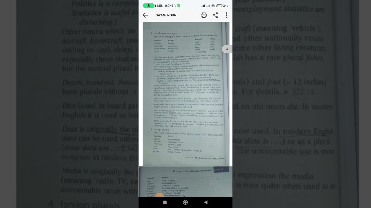 Michael Swan-The Noun